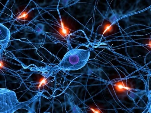 Illustration of nerve cells, their branching fibres lit by glowing points of nerve signal activity