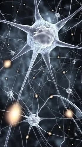 Illustration of a network of nerve cells with long branching fibres reaching across a dark background